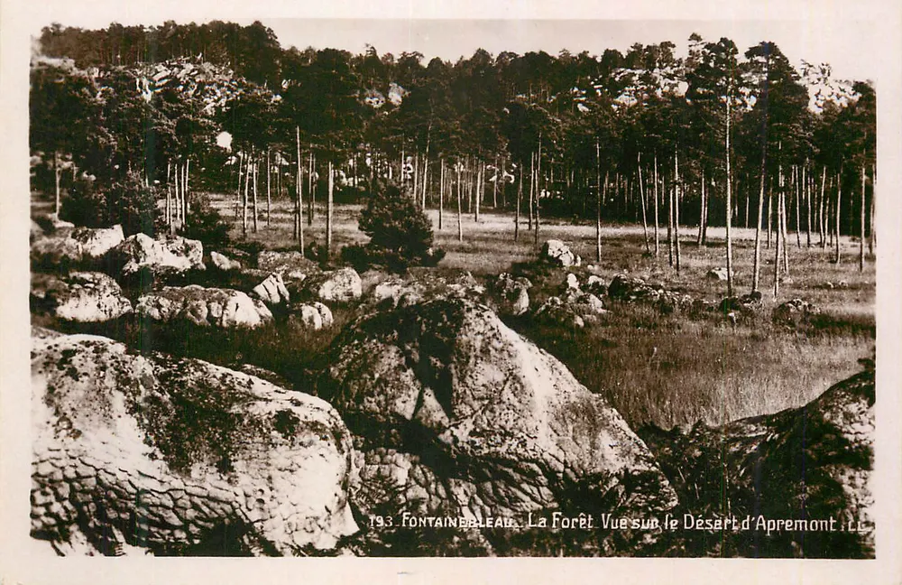 Fontainebleau — Die Waldansicht über den Aprémont-Desert — 193 - Vorderseite
